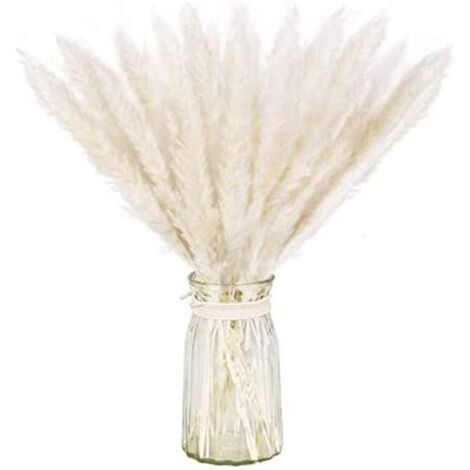 AIDUCHO Paquet Séché Naturel D'herbe De Pampa Sèche Pour La Décoration Intérieure 60pcs Blanc (1/5)