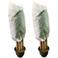 AIDUCHO 2 Pack Hivernage Plante, Housse Hivernage Plante, Protection Plantes, Housse D’hivernage, Housse De Protection Pour Plantes Housse D'hivernage Réutilisable, 0.8mx1.2m