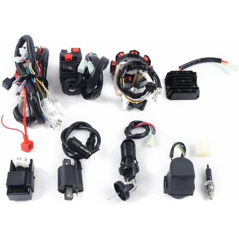 Electric Harness CDI Stator Kit CDI Wire Harness Wiring Loom Coil Rectifier KITS Full Electrics Wiring Harness Wire Loom CDI Stator Motorcycle Parts Fit for 150cc 250CC 300CC ATV Quad Dirt Bike (1/5)