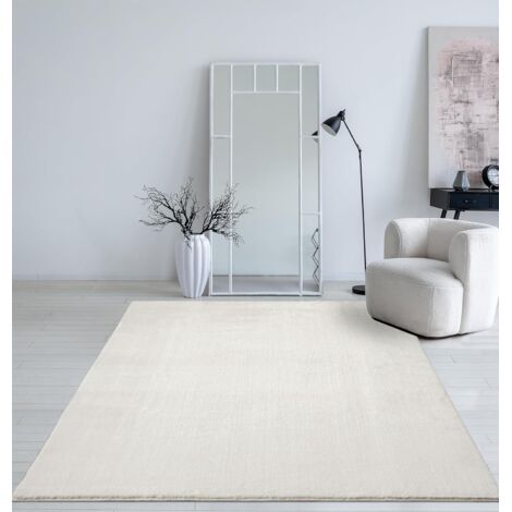 1 Tapis Moelleux Imitation Fourrure, Doux Polyester Antidérapant, Lavable 30 Degrés, Salon Chambre (1/5)