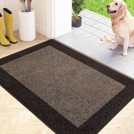 1 Paillasson 50x80 Cm Microfibre Antidérapant Tapis Sol Lavable Machine Entrée Couloir (1/5)