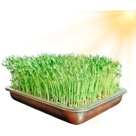 Plateau de culture germes, grande capacité en maille acier inoxydable Propagateur verts pour , intérieur et extérieur, jardin, maison - (1/5)