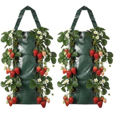 Sac de Plantation Fraises, 2 Pièces Culture à Fraises Suspendu avec 8 Trous, Tour Fraise, Potager Vertical pour Légumes, Fleurs, 70 × 60 25 cm, PE -