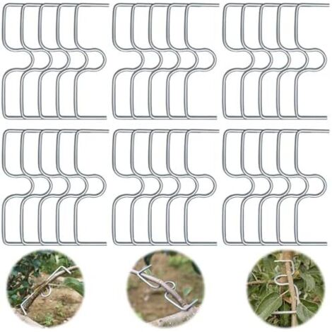 Lot de 30 écarteurs branches d'arbre fruitier, support pour fruits, pinces à en métal jardin, écarter et étirer les d'arbres fruitiers - (1/5)
