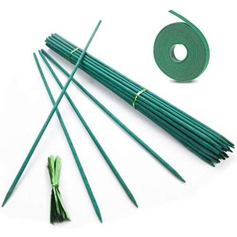 Lot de 50 tuteurs plantes en bambou 45 cm avec liens métalliques pour la maison, le jardin, les grimpantes - CM (1/5)