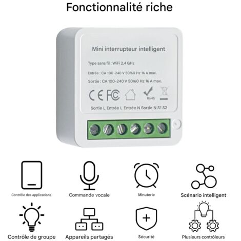 EPLZON Module Relais Intelligent WiFi 2 Voies – Mini Interrupteur Connecté Tuya, Compatible Alexa & Google Assistant, Idéal Pour Maison Connectée (1 Pièce)