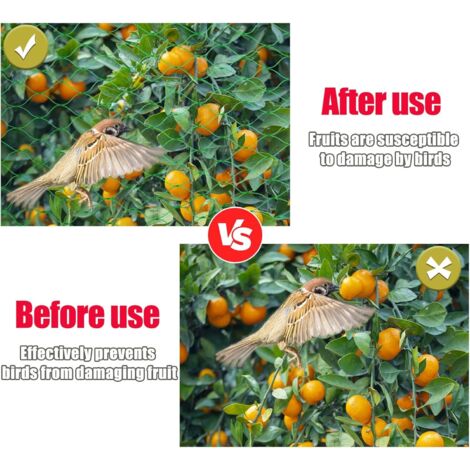 Filet Anti-oiseaux - 5 M X 8 M - Filet De Volière - Poulailler - Filet De Protection - Protège Les Arbres Fruitiers Et Légumes Contre Les Dommages Causés