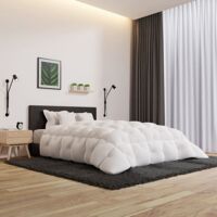 Couette 200x200 Cm Grand Froid - Blanc - Garnissage Fibre Creuse 700 GSM - Anti-acarien, Lavable - 1/2 Personnes