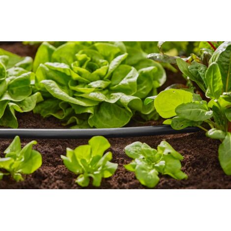 Tubo Da Giardino Vartco Home 50m, 1/2 Pollice, Antialga, Antigelo E Resistente Ai Raggi UV