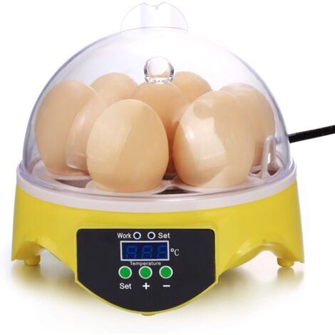 Incubadora de huevos digital de 7 huevos, miniincubadora para pollos, patos y gansos - RWPoultry Incubator & Hatcher