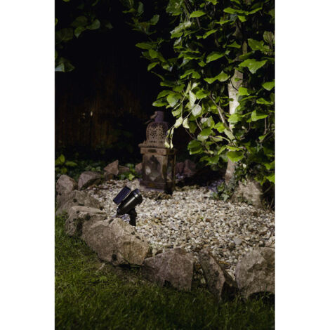 Spot solaire 20lm à piquer, éclairage directionnel pour plantes, arbustes ou entrée de jardin (1/4)