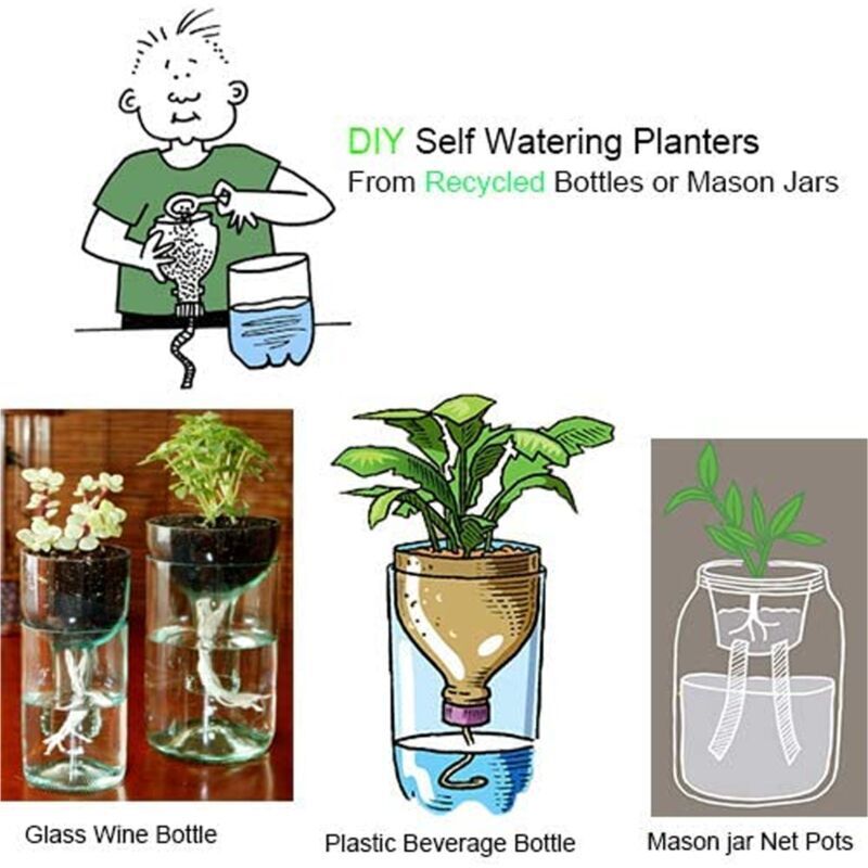 3 Arrosoirs 250ML à Bec Courbé - Bouteilles Souples Pour Plantes D'Intérieur - Idéal Pour Plantes Succulentes