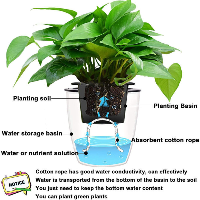 Bouteille D'arrosage Orimerc 500ml - Arrosoir Précis Pour Plantes D'intérieur