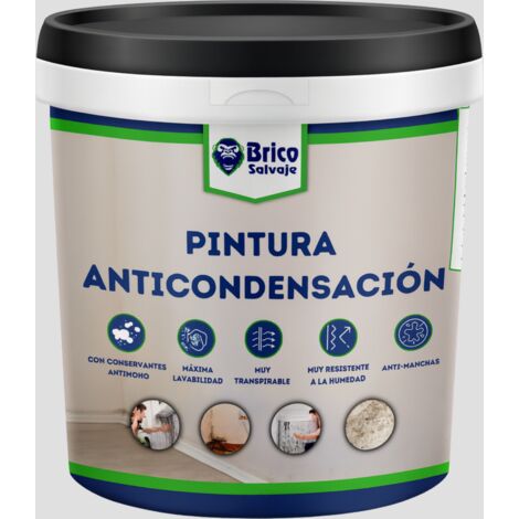Pintura Antihumedad y Anticondensación, Conservantes Antimoho, Aislante termico, Mate, Firmament 750 ML