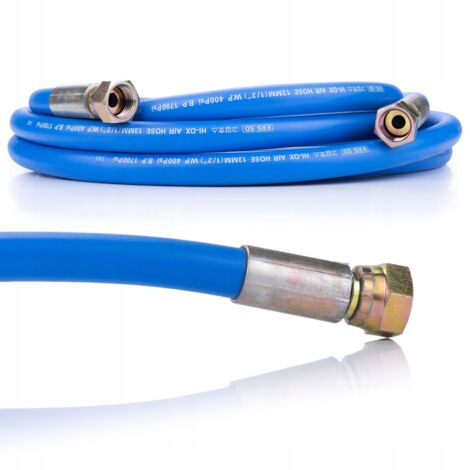 Rosfix Tuyau de Pulvérisation 5m 1/2" – 400 Psi, 1700 Psi  Résistant Haute Pression  Pour Rosfix Blue Dragon BD57/BD41  Accessoire pour Machine à Enduire (1/2)