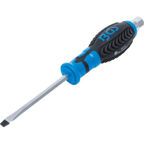 BGS Tournevis à six pans externes, fente 6 mm, longueur de lame 100 mm - 7919 (1/3)