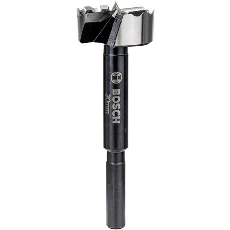 Bosch Professional Forstner Mèche de 30mm de diamètre DIN 7483G (260925C143) (1/5)