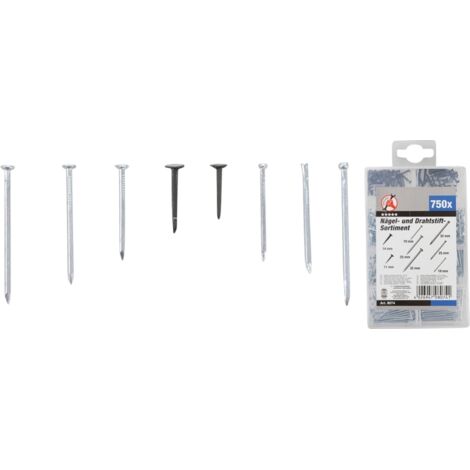 Assortiment de clous et pointes 750 pièces BGS Do it yourself (1/5)