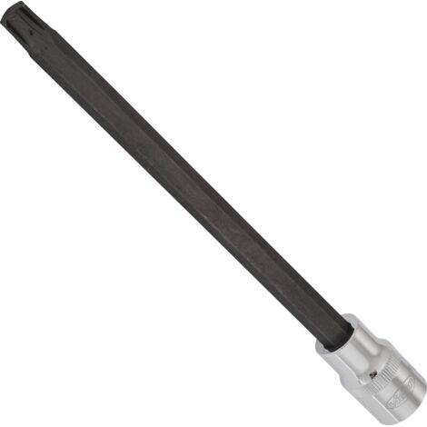 Douille mâle ∙ V2230 ∙ Carré creux 1/2 pouce (12,5 mm) ∙ Empreinte à crénaux Ribe CV ∙ Taille M10,3 (1/3)