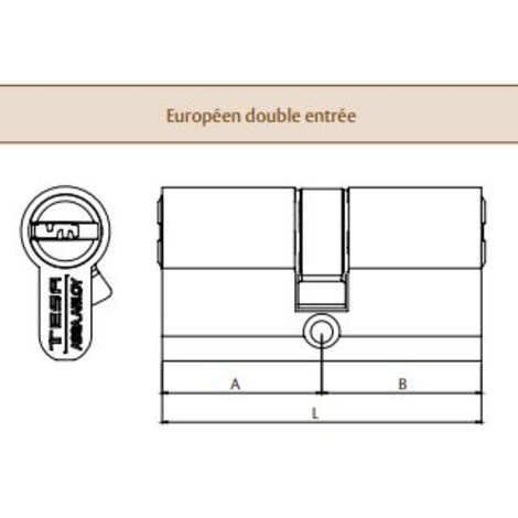 Cylindre TESA TX80 45x45mm VD nickelé - 5 clés anticrochetage - TX854545N (1/3)