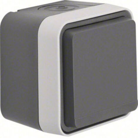 Prise 2P+T avec clapet Berker 47633505 W.1 apparent gris, gris clair (1/2)