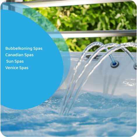 Filtre Pour Spa Toronto CD18M / SC846 / 50171 (antibactérien) | France