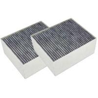 Filtro de carbón Bosch CleanAir 11033934 / 11017314 de AllSpares