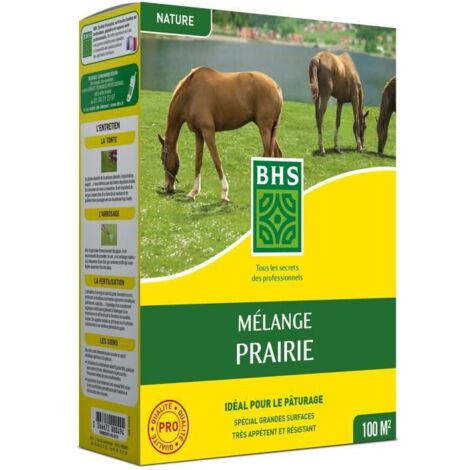 Gazon - BHS - Mélange Prairie 1kg 40m² Pour zones extensives et pâturage Installation rapide, résistant, sans entretie