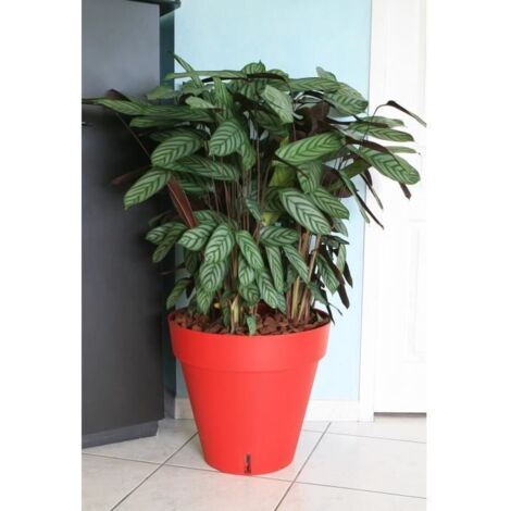 RIVIERA Pot de fleurs Loft avec reserve deau - Rond - O 50 x H 46 cm - Rouge