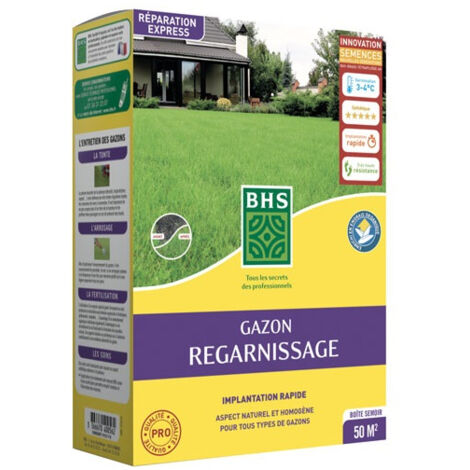 BHS Gazon Regarnissage 1kg Ray Grass Anglais Enrichi