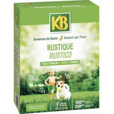Kb Gazon Rustique Vert Mélange Résistant Sécheresse (1/2)