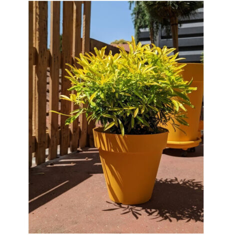 Bac a fleurs rond RIVIERA SOLEILLA - Plastique - Diametre 60 cm - Jaune (1/3)