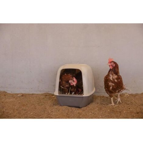 Pondoir pour poules 52 x 39 x 39 cm – Environnement de ponte sécurisé – Pour races lourdes – Accès facilité par grande ouverture – Kerbl (1/5)