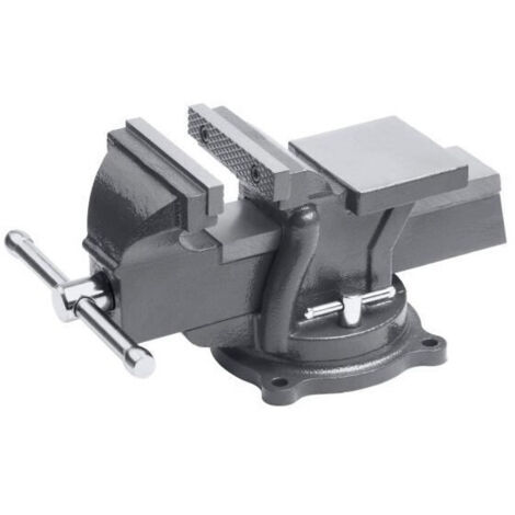 MEISTER Etau base tournable 100 mm (1/2)