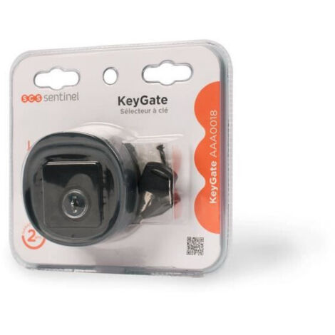 Sélecteur a clé filaire - KeyGate - IP44 - 12/24V - Contacteur anti-vandale - 2 clés fournies (1/6)