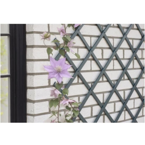 Treillis extensible NATURE en plastique anthracite 50 x 150 cm