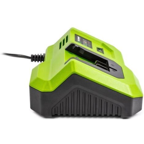 Chargeur rapide - FIELDMANN - Pour batterie 20V - Charge 2Ah en 30 min - Compatible 2Ah, 4Ah, 8Ah (1/5)
