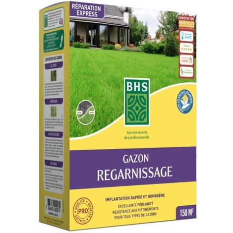 BHS Gazon Regarnissage 3kg vert semences de gazon