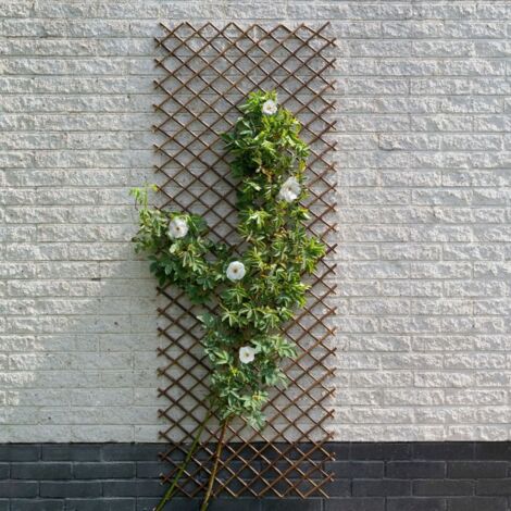 Nature Treillis de jardin 60x180 cm saule naturel marron