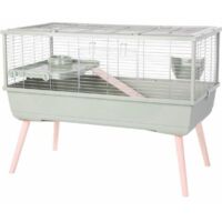 Zolux – Cage pour rongeur surélevée 99 x 54 x 79 cm – Espace entre barreaux 2 cm – Couleur vert – Pour cochon d'inde