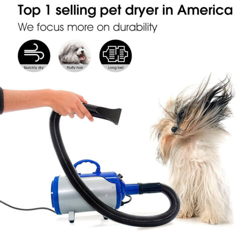 Daewoo Asciugacapelli per Animali 2-in-1 con Regolazione Temperatura per Cani e Gatti