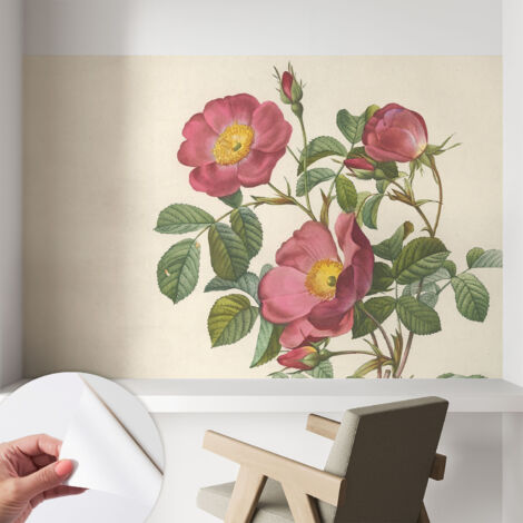 Fotomurale adesivo - murale da parete - Carta da parati autoadesiva - design parete moderno - Motivo di rose 104x70 cm (1/5)