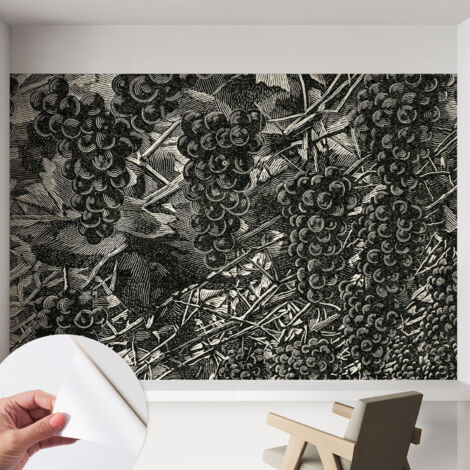 Carta da parati autoadesiva - fotomurale - decorazione parete - stile elegante - decorazione casa - Stampa a grappoli d'uva 152x104 cm (1/5)