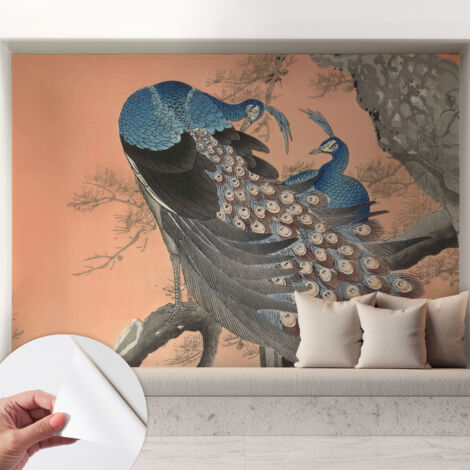 Fotomurale adesivo stickers - per camera da letto - per corridoio - decorazione casa moderna Eleganza del pavone 208x146 cm (1/5)