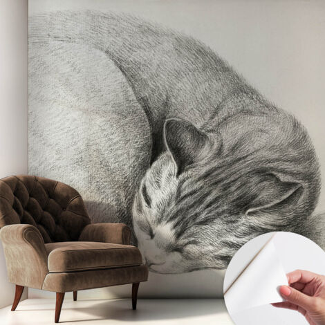 Carta da parati autoadesiva - fotomurale - decorazione parete - stile elegante - decorazione casa - Gatto raggomitolato 250x250 cm (1/5)