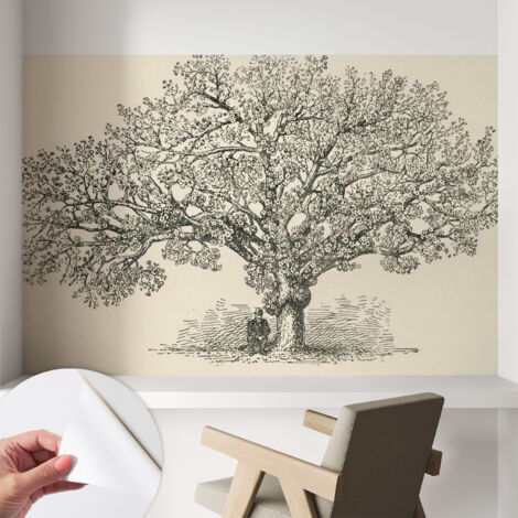 Carta da parati autoadesiva - Fotomurale adesivo - soggiorno moderno - resistente - Illustrazione di un albero 104x70 cm (1/5)