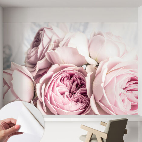 Carta da parati autoadesiva moderna - fotomurale - lavabile - ufficio - design moderno - Rose rosa 152x104 cm