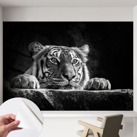 Carta da parati autoadesiva - Fotomurale adesivo - soggiorno moderno - resistente - Sguardo predatorio 152x104 cm (1/5)