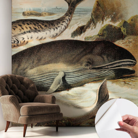 Fotomurale adesivo stickers - murali decorativo - soggiorno moderno - effetto realistico - Giganti marini 250x250 cm (1/5)