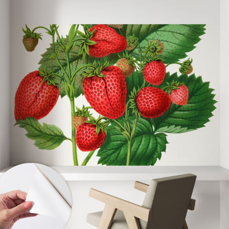 Fotomurale adesivo - murale da parete - Carta da parati autoadesiva - design parete moderno - Frutta estiva 104x70 cm (1/5)